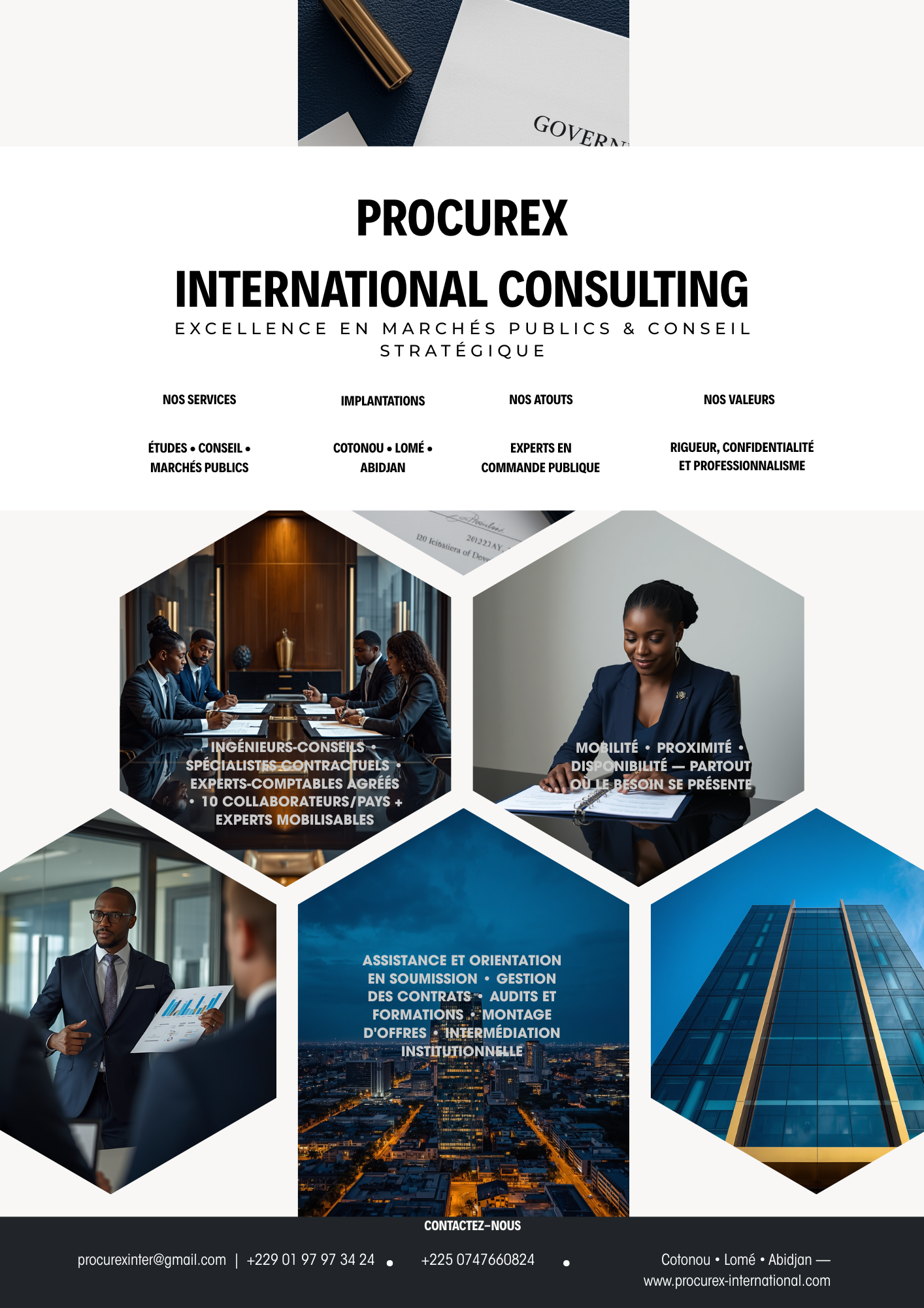 Prospectus PROCUREX International Consulting
